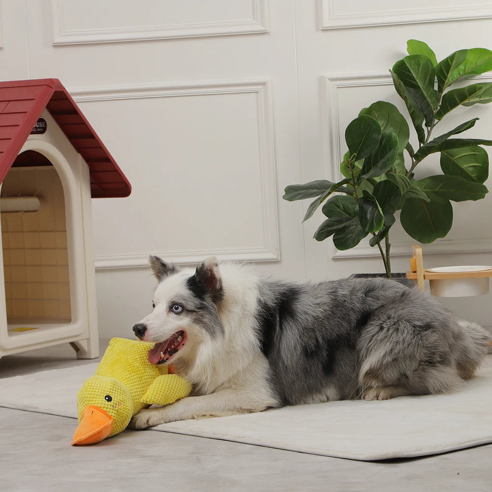 Quacky the Ultimate Fetch & Squeak Duck: Your Dog's New Favorite Plush Toy