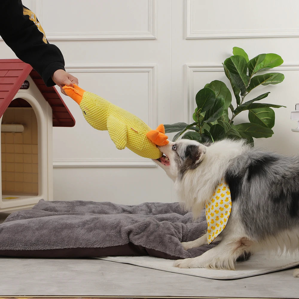 Quacky the Ultimate Fetch & Squeak Duck: Your Dog's New Favorite Plush Toy