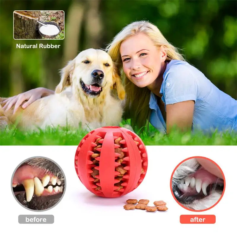 Durable Rubber Dog Ball Toy 🐶 – Interactive Chew & Dental Toy for Small & Large Dogs!
