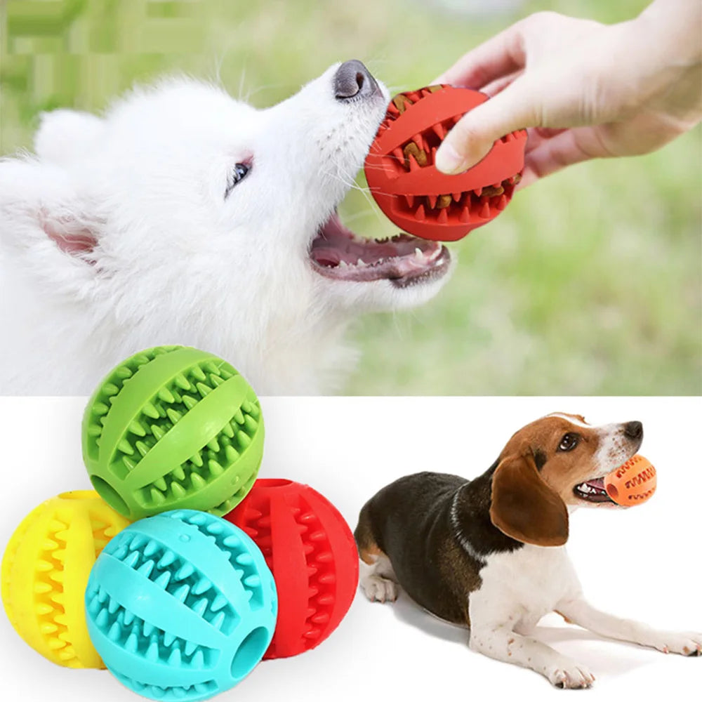Durable Rubber Dog Ball Toy 🐶 – Interactive Chew & Dental Toy for Small & Large Dogs!