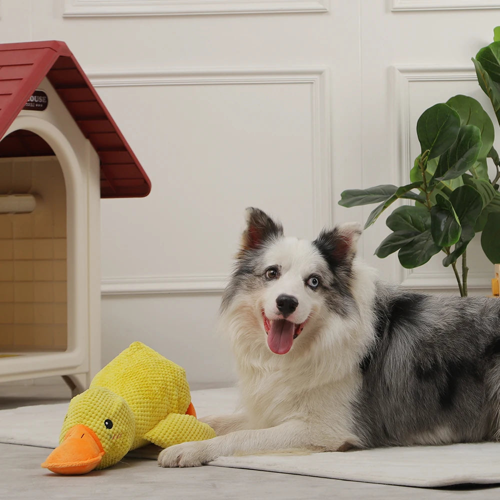 Quacky the Ultimate Fetch & Squeak Duck: Your Dog's New Favorite Plush Toy