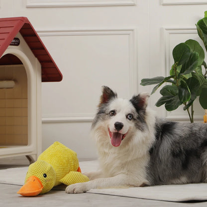 Quacky the Ultimate Fetch & Squeak Duck: Your Dog's New Favorite Plush Toy