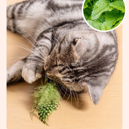 nteractive Cat Toy with Realistic Bird Sounds – Irresistible Plush Teaser for Playful Kitties! 🐱🎵