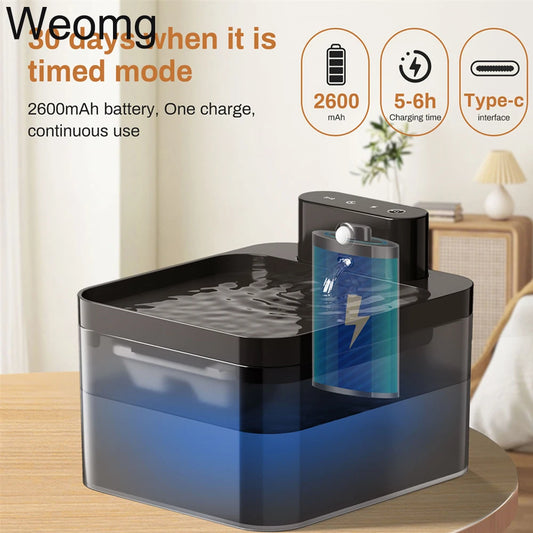 Weomg 2-in-1 Cat Feeder & Water Dispenser ⏰ | Timed Meals + Hydration in One!