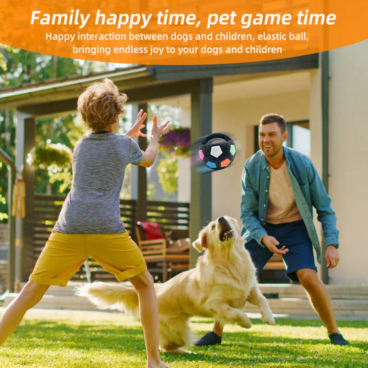 Qzee Durable Football Dog Toy - Squeaky Tennis Ball for Aggressive Chewers (Small/Medium Breeds) 🐕⚽