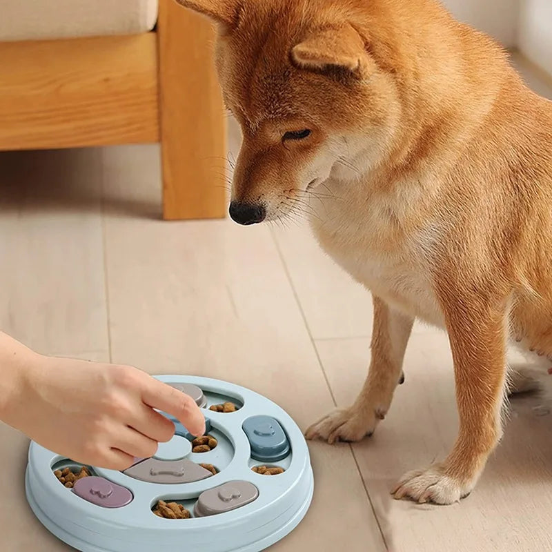 Slow Feeder Dog Bowl: Anti-Gulping, Bloat Prevention, Mental Stimulation